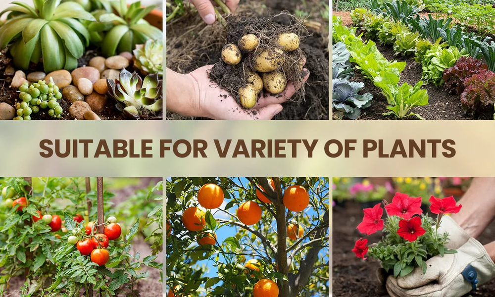 🏆75K+ SOLD! 🌳Soil Pro Activator