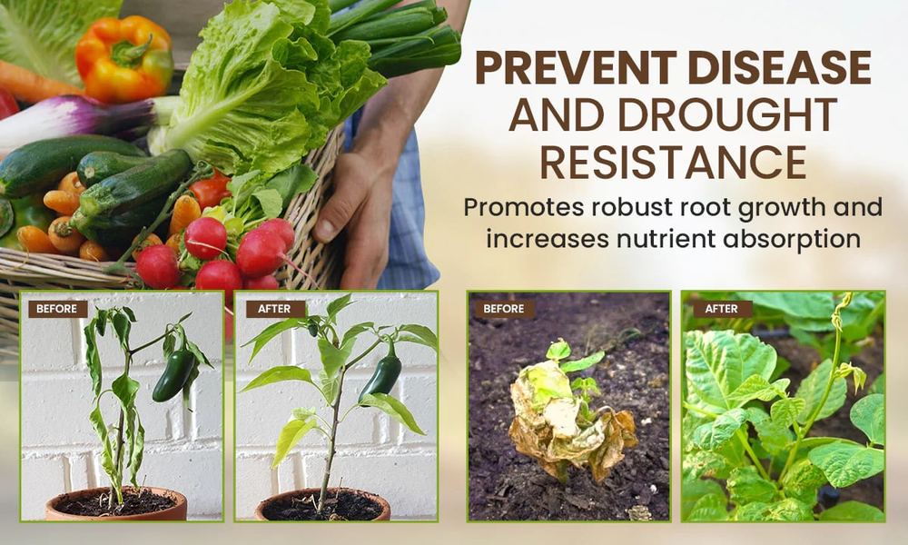 🏆75K+ SOLD! 🌳Soil Pro Activator