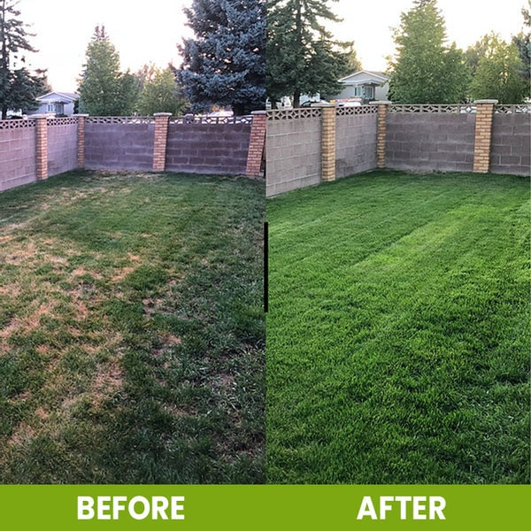 🏆75K+ SOLD! 🌳Soil Pro Activator